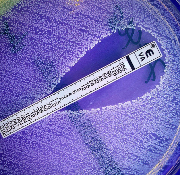 What Is Antimicrobial Resistance and What Might It Mean for Me ...
