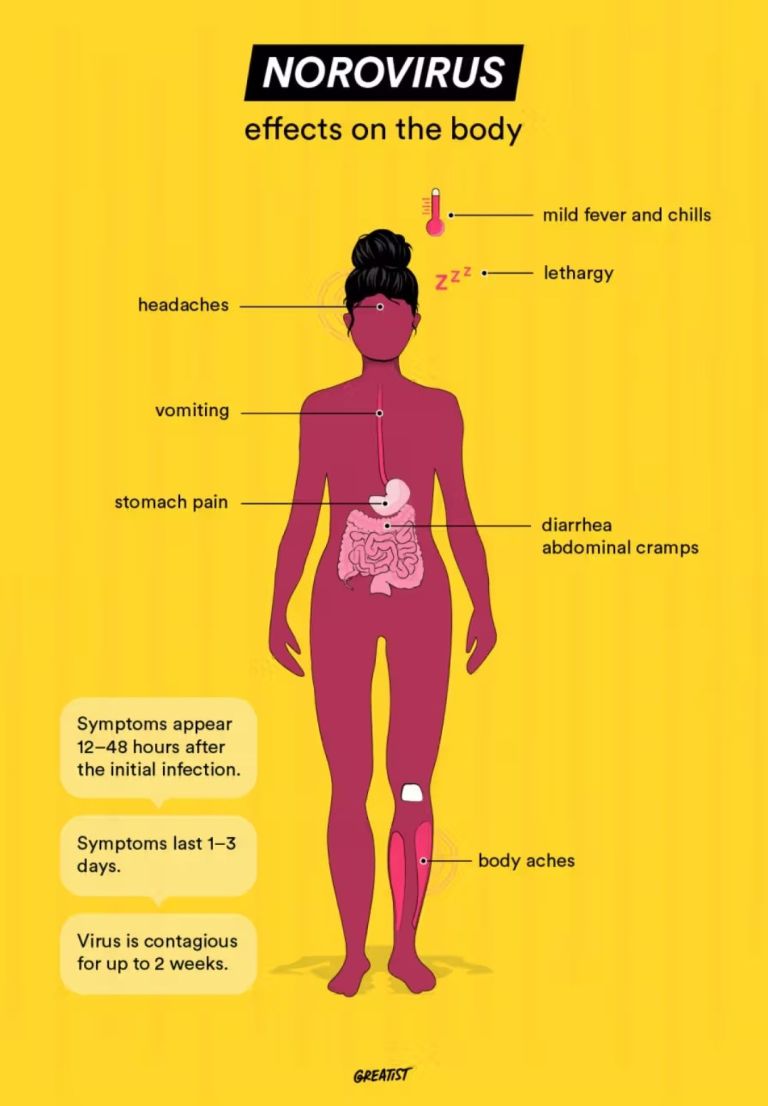 Tis the Season to Talk Noro: What is norovirus and why does it cause ...