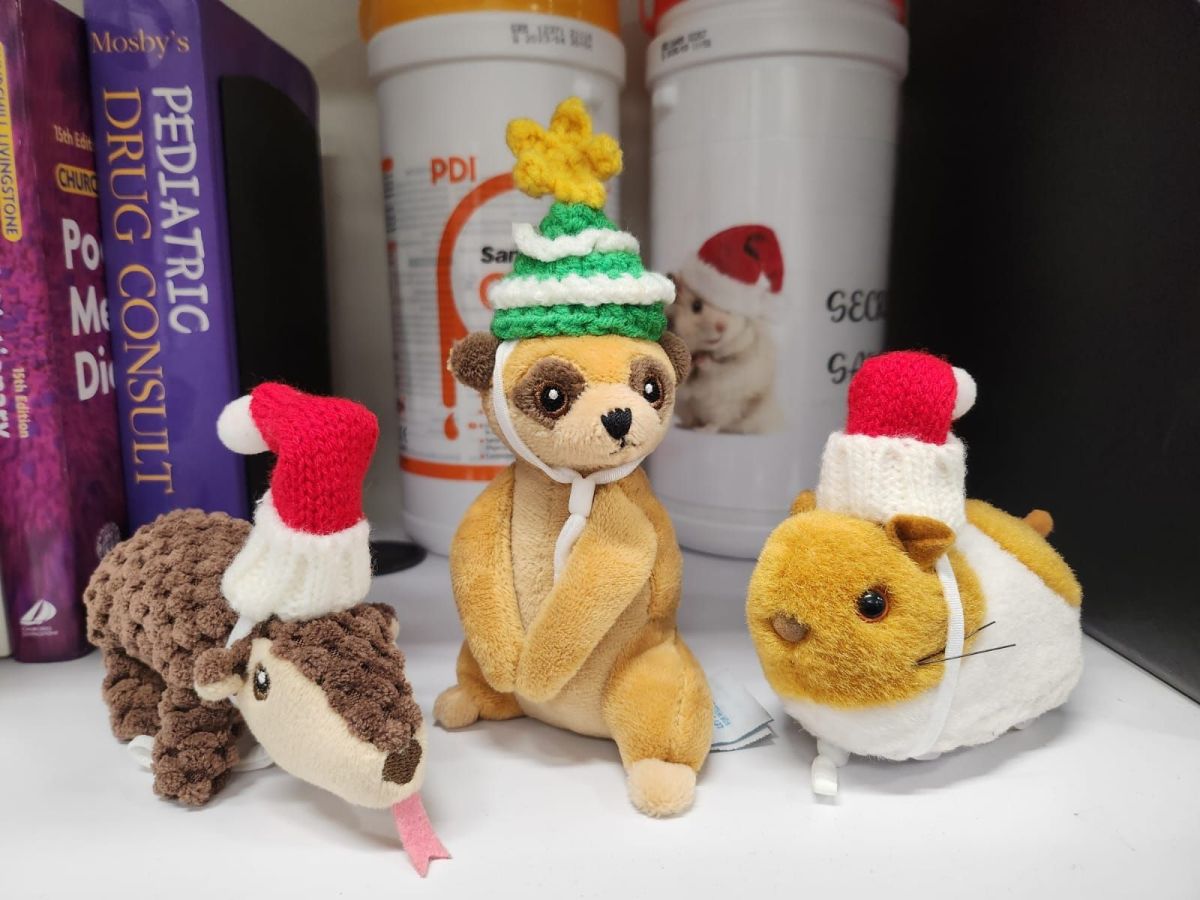 Roll on 2026: Being intentional about finding my way back to my full authentic&nbsp;self