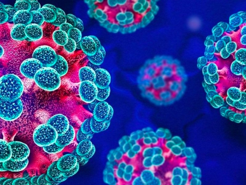An Unusual Cause for Concern? A Hantavirus outbreak associated with a cruise&nbsp;ship